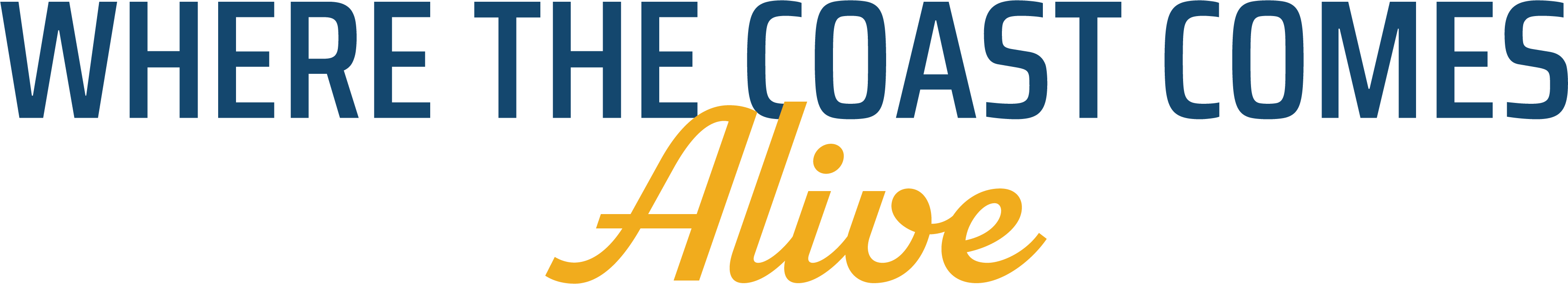 Where the coast comes alive